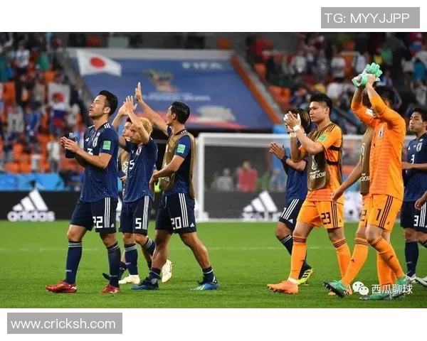 成都网球队在世界杯上的比赛经验与表现分析与点评