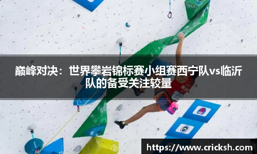 巅峰对决：世界攀岩锦标赛小组赛西宁队vs临沂队的备受关注较量